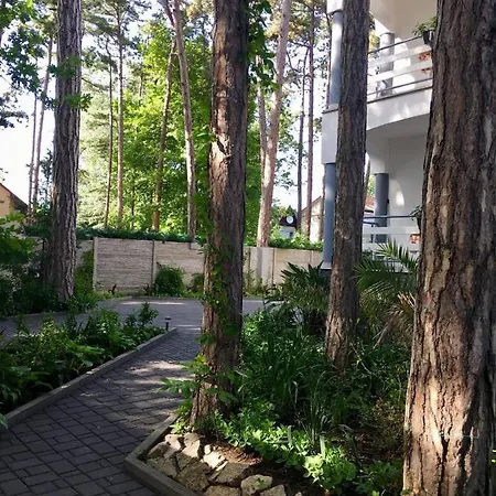 Pearl בית הארחה