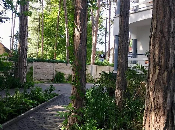 Pearl Guest house